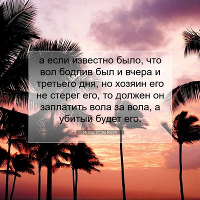 Picture 07 - Исход 21:36 RUSV - а если известно было, что - Bible Verse Picture