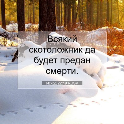Picture 07 - Исход 22:19 RUSV - Всякий скотоложник да - Bible Verse Picture