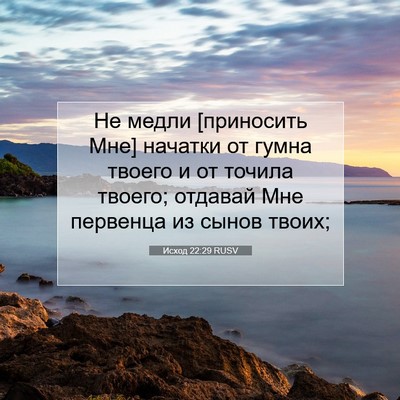 Picture 07 - Исход 22:29 RUSV - Не медли [приносить Мне] - Bible Verse Picture