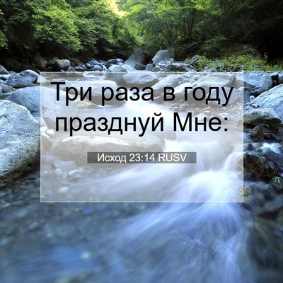 Picture 07 - Исход 23:14 RUSV - Три раза в году празднуй - Bible Verse Picture