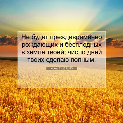 Picture 07 - Исход 23:26 RUSV - Не будет преждевременно - Bible Verse Picture