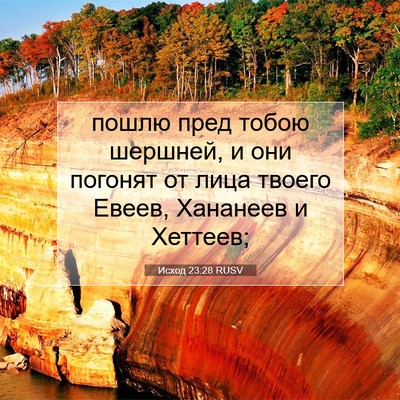 Picture 07 - Исход 23:28 RUSV - пошлю пред тобою шершней, и - Bible Verse Picture
