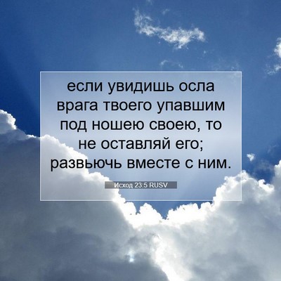 Picture 07 - Исход 23:5 RUSV - если увидишь осла врага - Bible Verse Picture