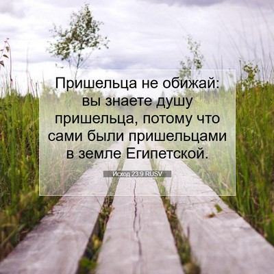 Picture 07 - Исход 23:9 RUSV - Пришельца не обижай: вы - Bible Verse Picture