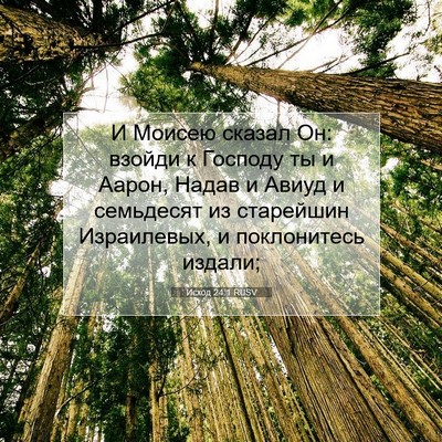 Picture 07 - Исход 24:1 RUSV - И Моисею сказал Он: взойди - Bible Verse Picture