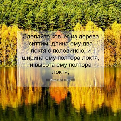Picture 07 - Исход 25:10 RUSV - Сделайте ковчег из дерева - Bible Verse Picture