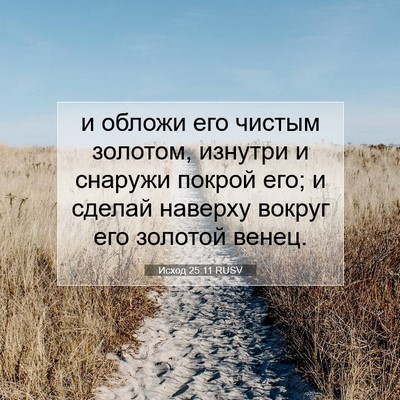 Picture 07 - Исход 25:11 RUSV - и обложи его чистым - Bible Verse Picture