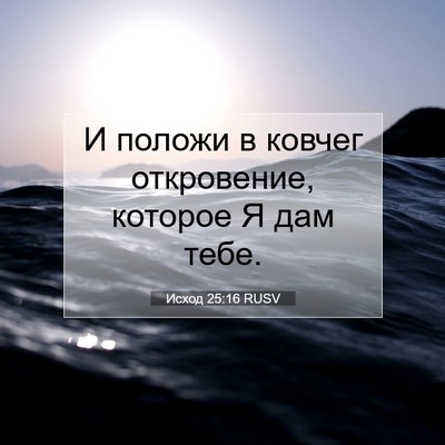 Picture 07 - Исход 25:16 RUSV - И положи в ковчег - Bible Verse Picture