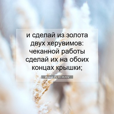 Picture 07 - Исход 25:18 RUSV - и сделай из золота двух - Bible Verse Picture