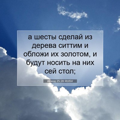 Picture 07 - Исход 25:28 RUSV - а шесты сделай из дерева - Bible Verse Picture