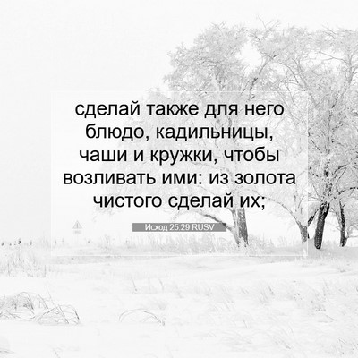 Picture 07 - Исход 25:29 RUSV - сделай также для него - Bible Verse Picture