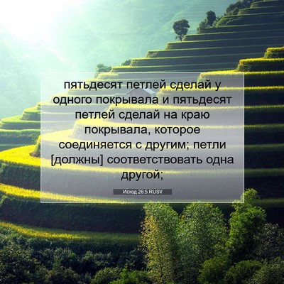 Picture 07 - Исход 26:5 RUSV - пятьдесят петлей сделай у - Bible Verse Picture