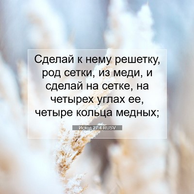 Picture 07 - Исход 27:4 RUSV - Сделай к нему решетку, род - Bible Verse Picture