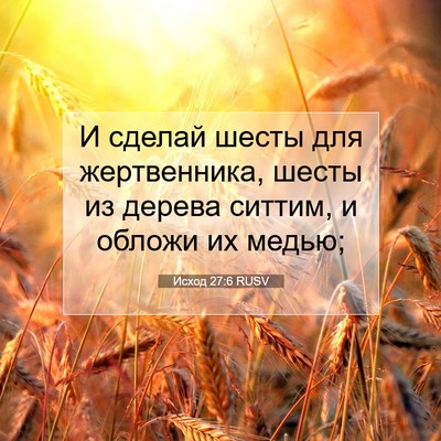 Picture 07 - Исход 27:6 RUSV - И сделай шесты для - Bible Verse Picture