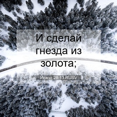 Picture 07 - Исход 28:13 RUSV - И сделай гнезда из - Bible Verse Picture