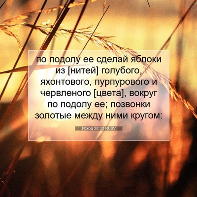 Picture 07 - Исход 28:33 RUSV - по подолу ее сделай яблоки - Bible Verse Picture