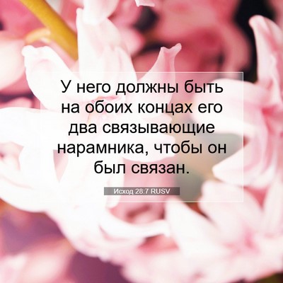 Picture 07 - Исход 28:7 RUSV - У него должны быть на обоих - Bible Verse Picture