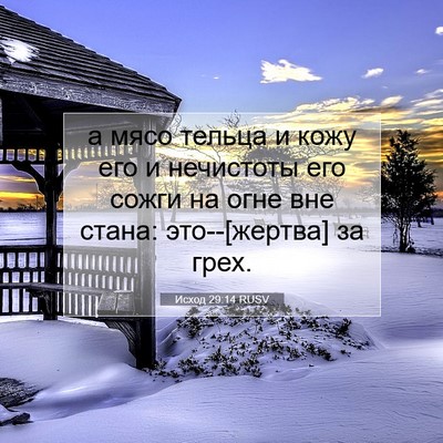 Picture 07 - Исход 29:14 RUSV - а мясо тельца и кожу его и - Bible Verse Picture
