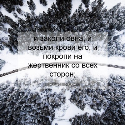 Picture 07 - Исход 29:16 RUSV - и заколи овна, и возьми - Bible Verse Picture