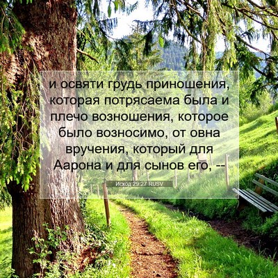 Picture 07 - Исход 29:27 RUSV - и освяти грудь приношения, - Bible Verse Picture