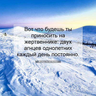 Picture 07 - Исход 29:38 RUSV - Вот что будешь ты - Bible Verse Picture