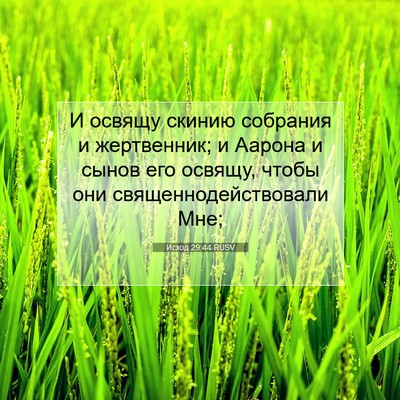 Picture 07 - Исход 29:44 RUSV - И освящу скинию собрания и - Bible Verse Picture