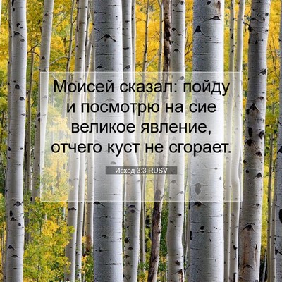 Picture 07 - Исход 3:3 RUSV - Моисей сказал: пойду и - Bible Verse Picture