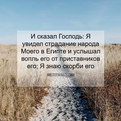 Picture 07 - Исход 3:7 RUSV - И сказал Господь: Я увидел - Bible Verse Picture