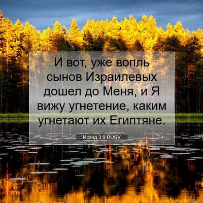 Picture 07 - Исход 3:9 RUSV - И вот, уже вопль сынов - Bible Verse Picture
