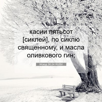 Picture 07 - Исход 30:24 RUSV - касии пятьсот [сиклей], по - Bible Verse Picture