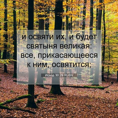 Picture 07 - Исход 30:29 RUSV - и освяти их, и будет - Bible Verse Picture