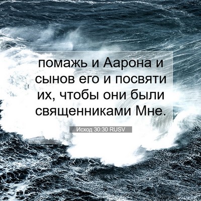 Picture 07 - Исход 30:30 RUSV - помажь и Аарона и сынов его - Bible Verse Picture