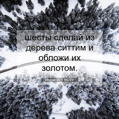 Picture 07 - Исход 30:5 RUSV - шесты сделай из дерева - Bible Verse Picture
