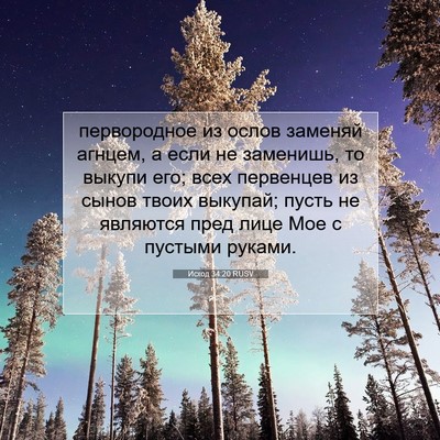 Picture 07 - Исход 34:20 RUSV - первородное из ослов - Bible Verse Picture