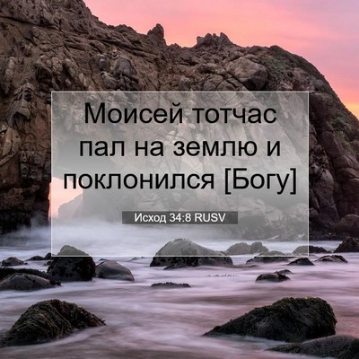 Picture 07 - Исход 34:8 RUSV - Моисей тотчас пал на землю - Bible Verse Picture