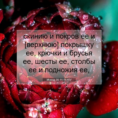 Picture 07 - Исход 35:11 RUSV - скинию и покров ее и - Bible Verse Picture
