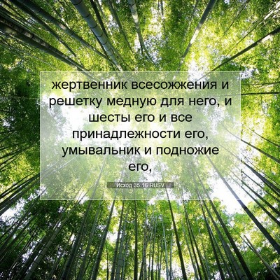 Picture 07 - Исход 35:16 RUSV - жертвенник всесожжения и - Bible Verse Picture