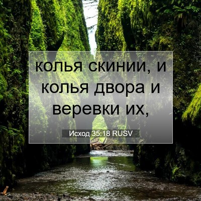Picture 07 - Исход 35:18 RUSV - колья скинии, и колья двора - Bible Verse Picture