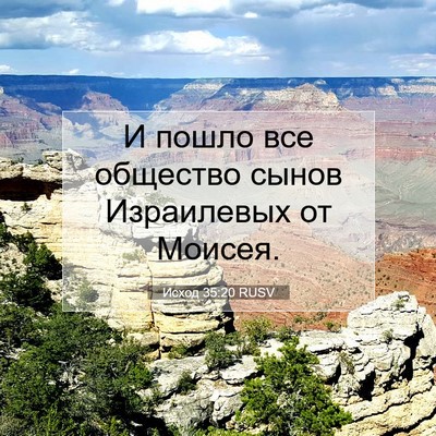 Picture 07 - Исход 35:20 RUSV - И пошло все общество сынов - Bible Verse Picture