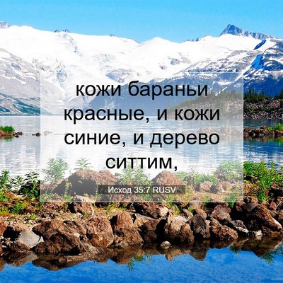 Picture 07 - Исход 35:7 RUSV - кожи бараньи красные, и - Bible Verse Picture