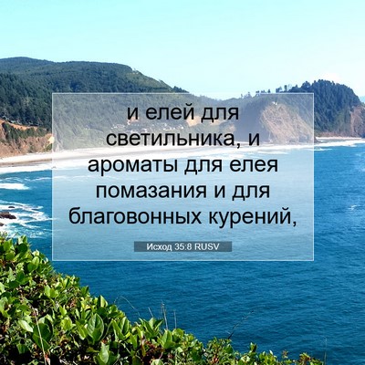 Picture 07 - Исход 35:8 RUSV - и елей для светильника, и - Bible Verse Picture
