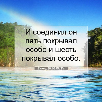 Picture 07 - Исход 36:16 RUSV - И соединил он пять - Bible Verse Picture