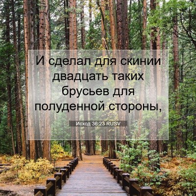 Picture 07 - Исход 36:23 RUSV - И сделал для скинии - Bible Verse Picture