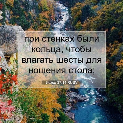Picture 07 - Исход 37:14 RUSV - при стенках были кольца, - Bible Verse Picture