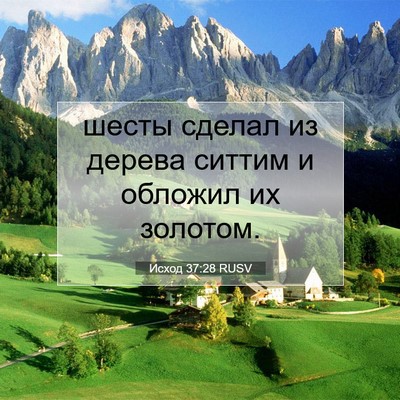 Picture 07 - Исход 37:28 RUSV - шесты сделал из дерева - Bible Verse Picture