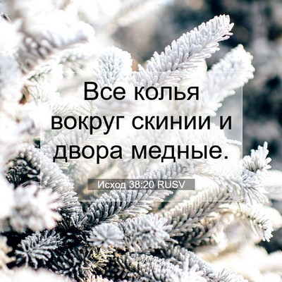 Picture 07 - Исход 38:20 RUSV - Все колья вокруг скинии и - Bible Verse Picture