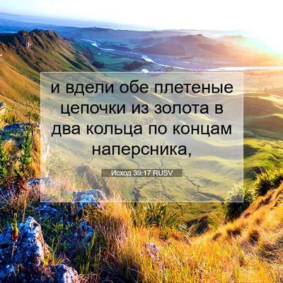 Picture 07 - Исход 39:17 RUSV - и вдели обе плетеные - Bible Verse Picture