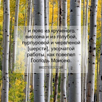 Picture 07 - Исход 39:29 RUSV - и пояс из крученого - Bible Verse Picture