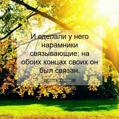 Picture 07 - Исход 39:4 RUSV - И сделали у него нарамники - Bible Verse Picture