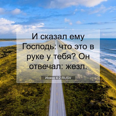 Picture 07 - Исход 4:2 RUSV - И сказал ему Господь: что - Bible Verse Picture